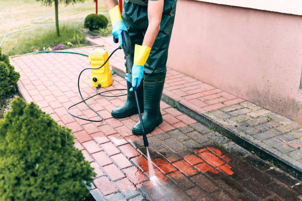 Best House Exterior Washing  in Manvel, TX