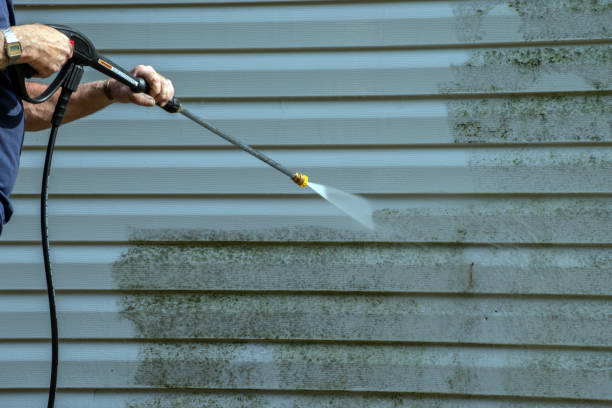 Best Driveway Pressure Washing  in Manvel, TX