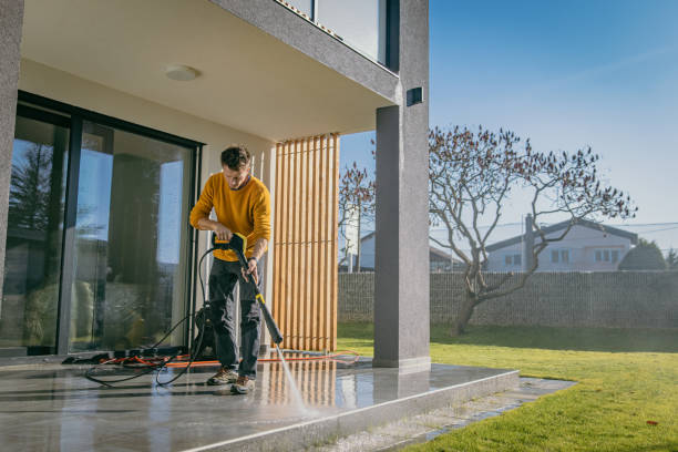 Best Solar Panel Cleaning  in Manvel, TX